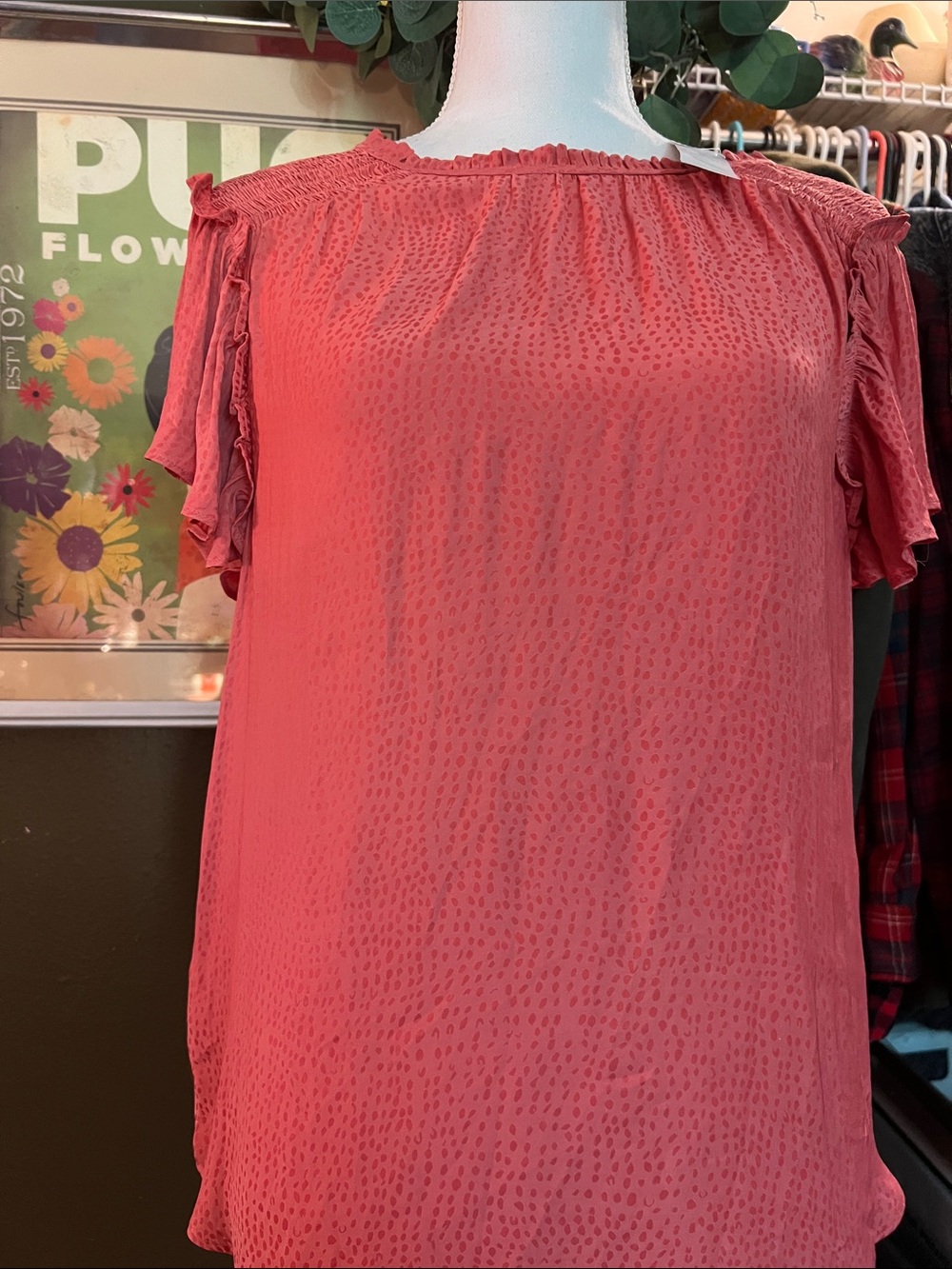 Ann Taylor Women’s Coral Textured Ruffle Sleeve Top